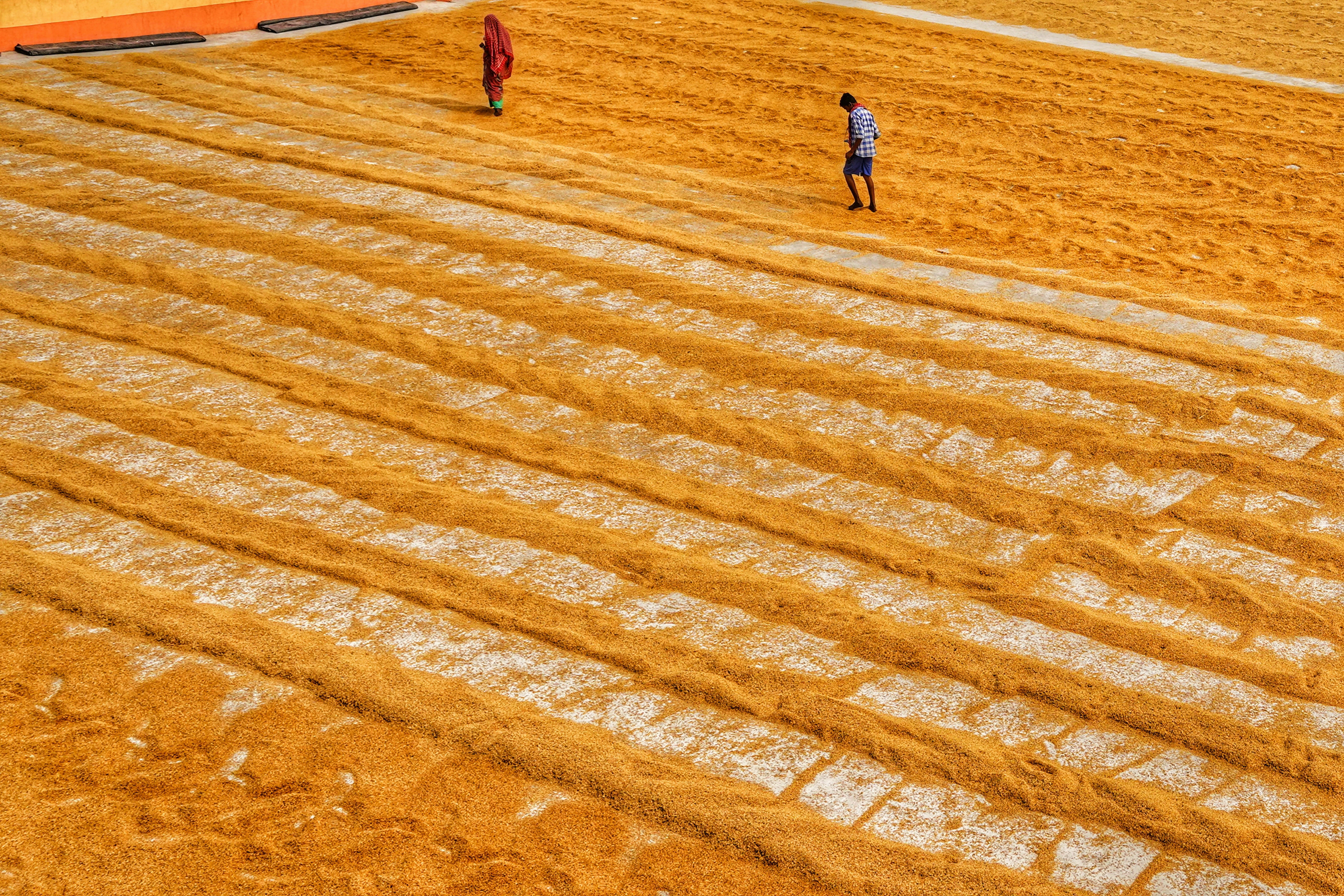 Photo by dibakar16roy