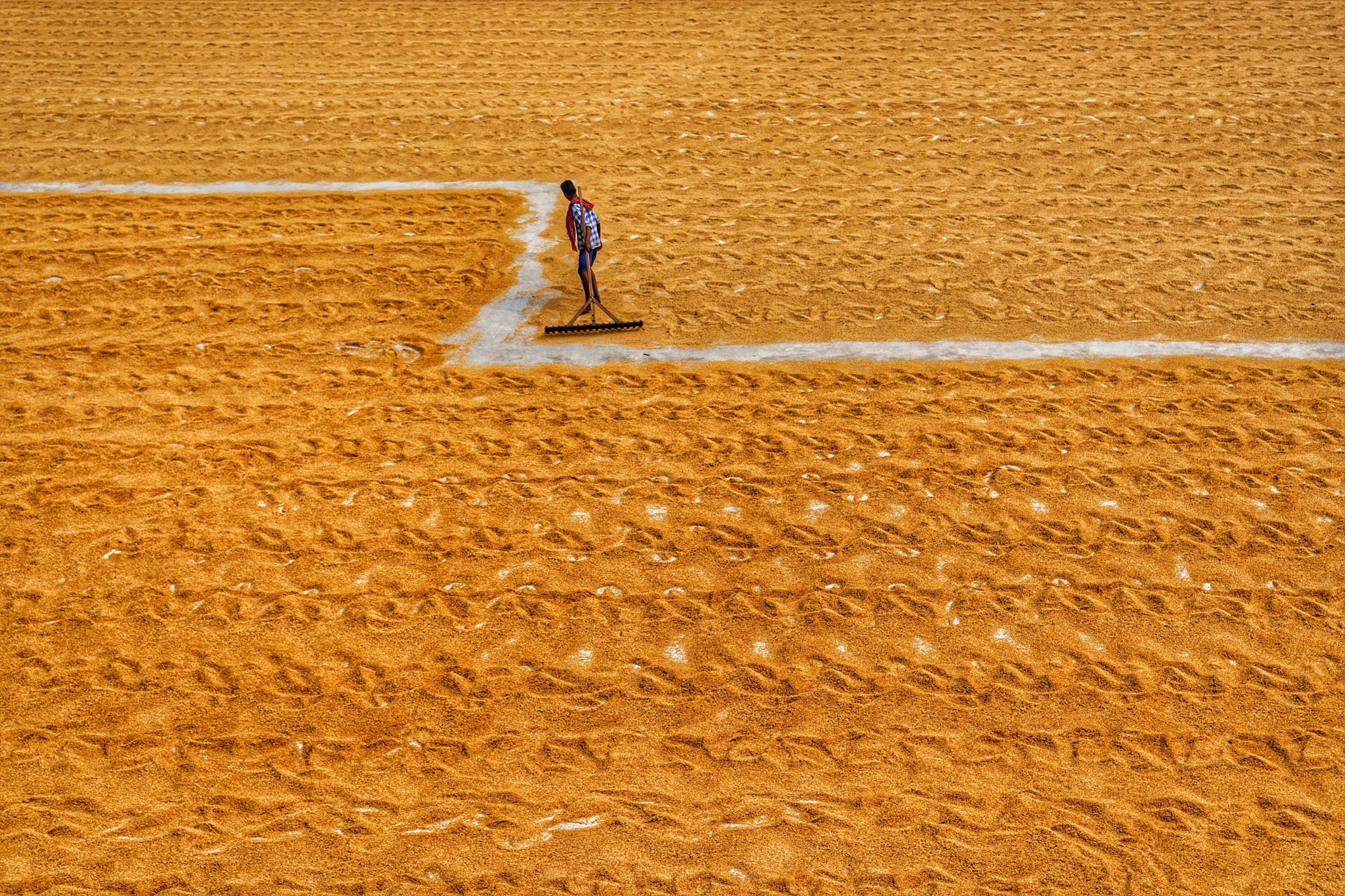 Photo by dibakar16roy