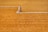 A person is working on a large expanse of spread grain, using a tool to rake the surface, creating patterns in the golden grains. The setting appears to be outdoors, with the ground entirely covered in the dry grains, which are likely being dried in the sun.