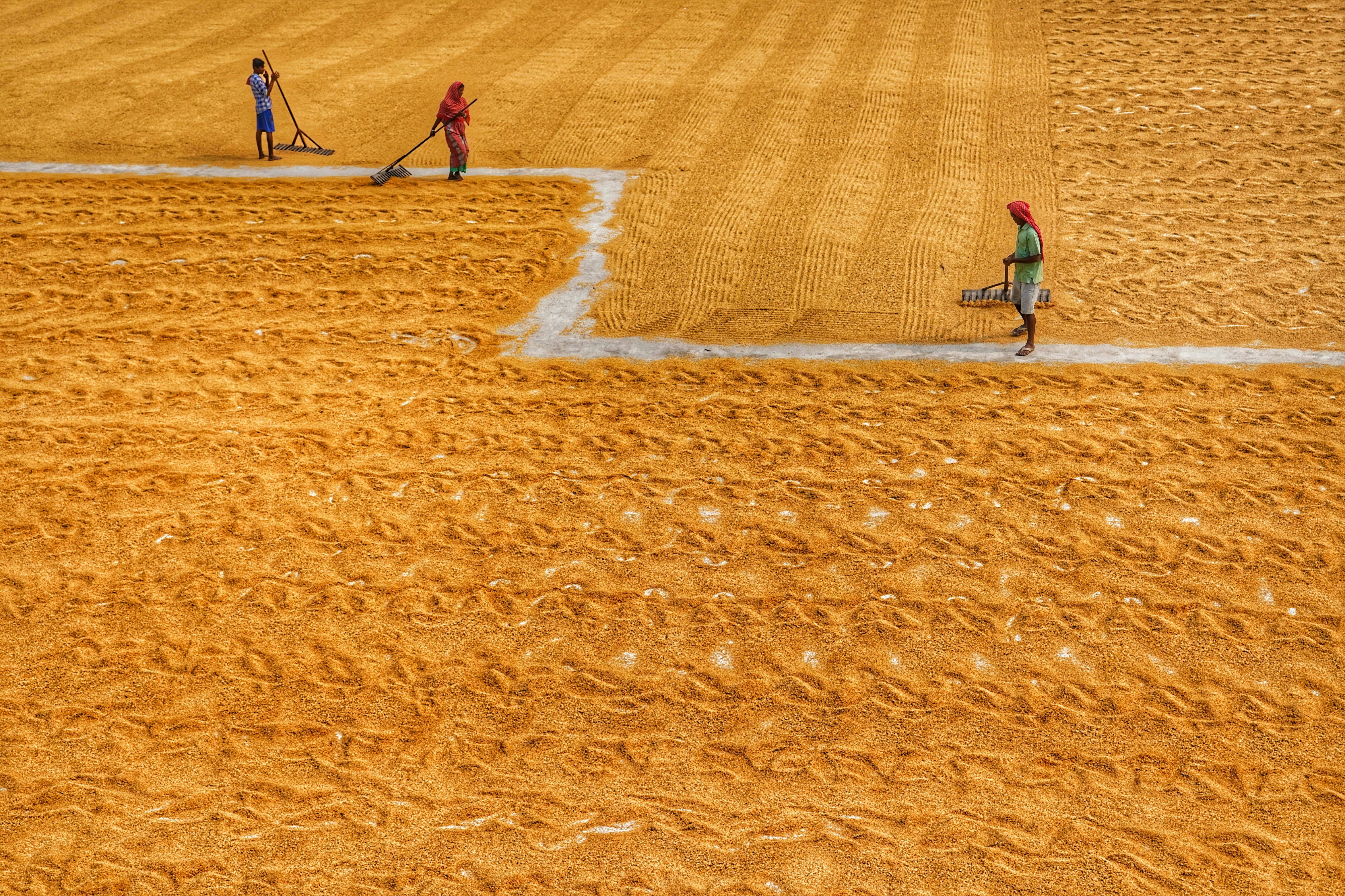 Photo by dibakar16roy