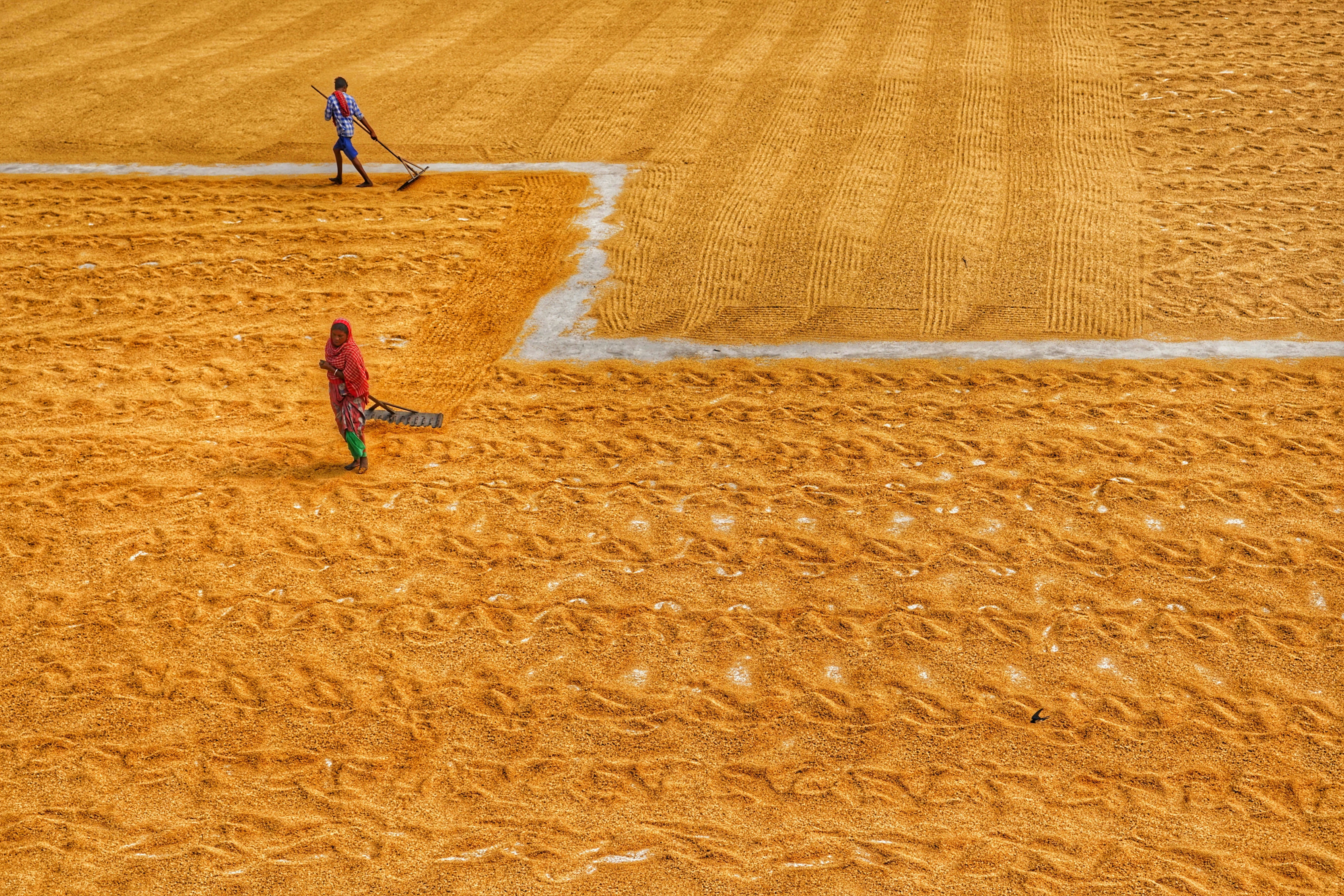 Photo by dibakar16roy