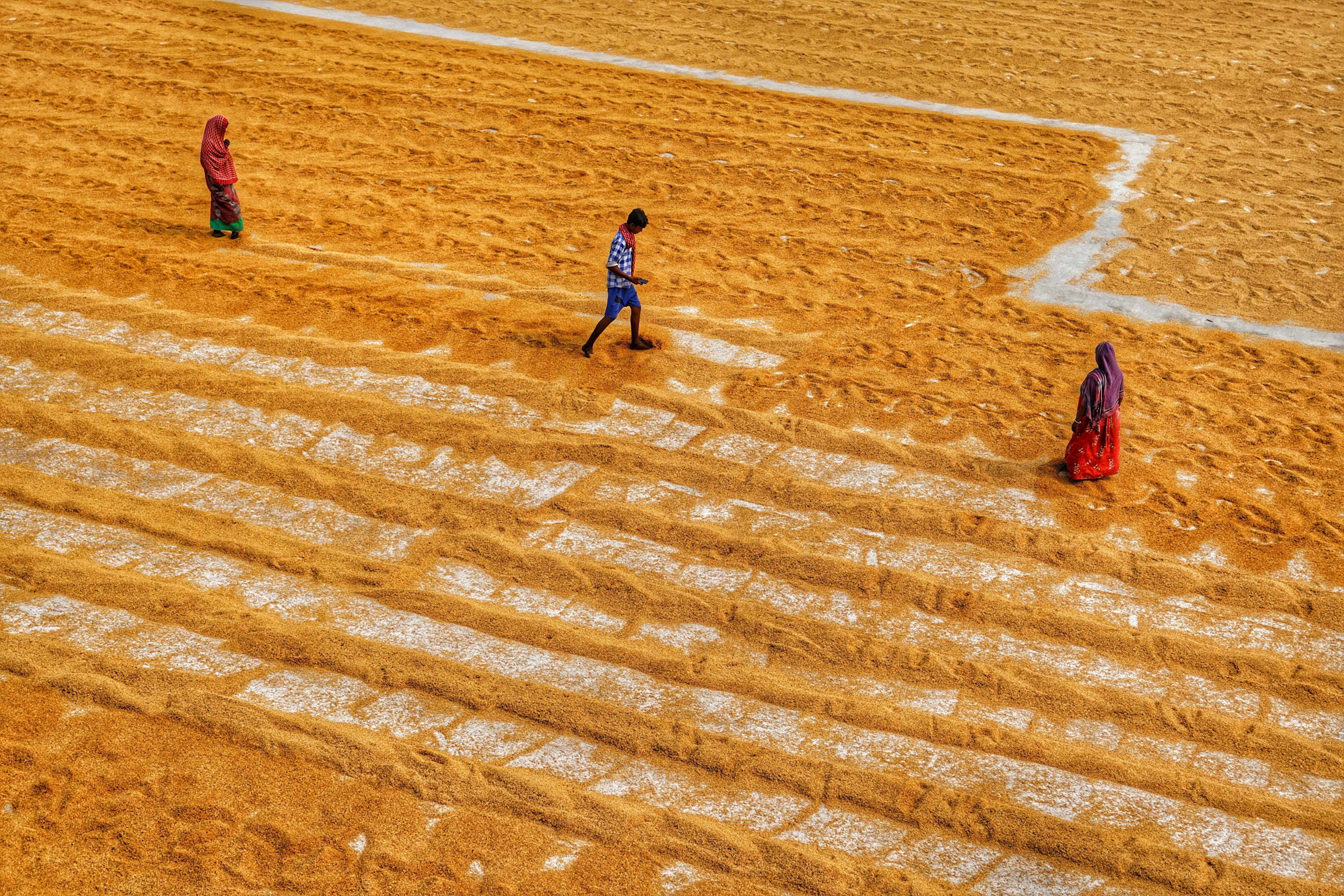 Photo by dibakar16roy