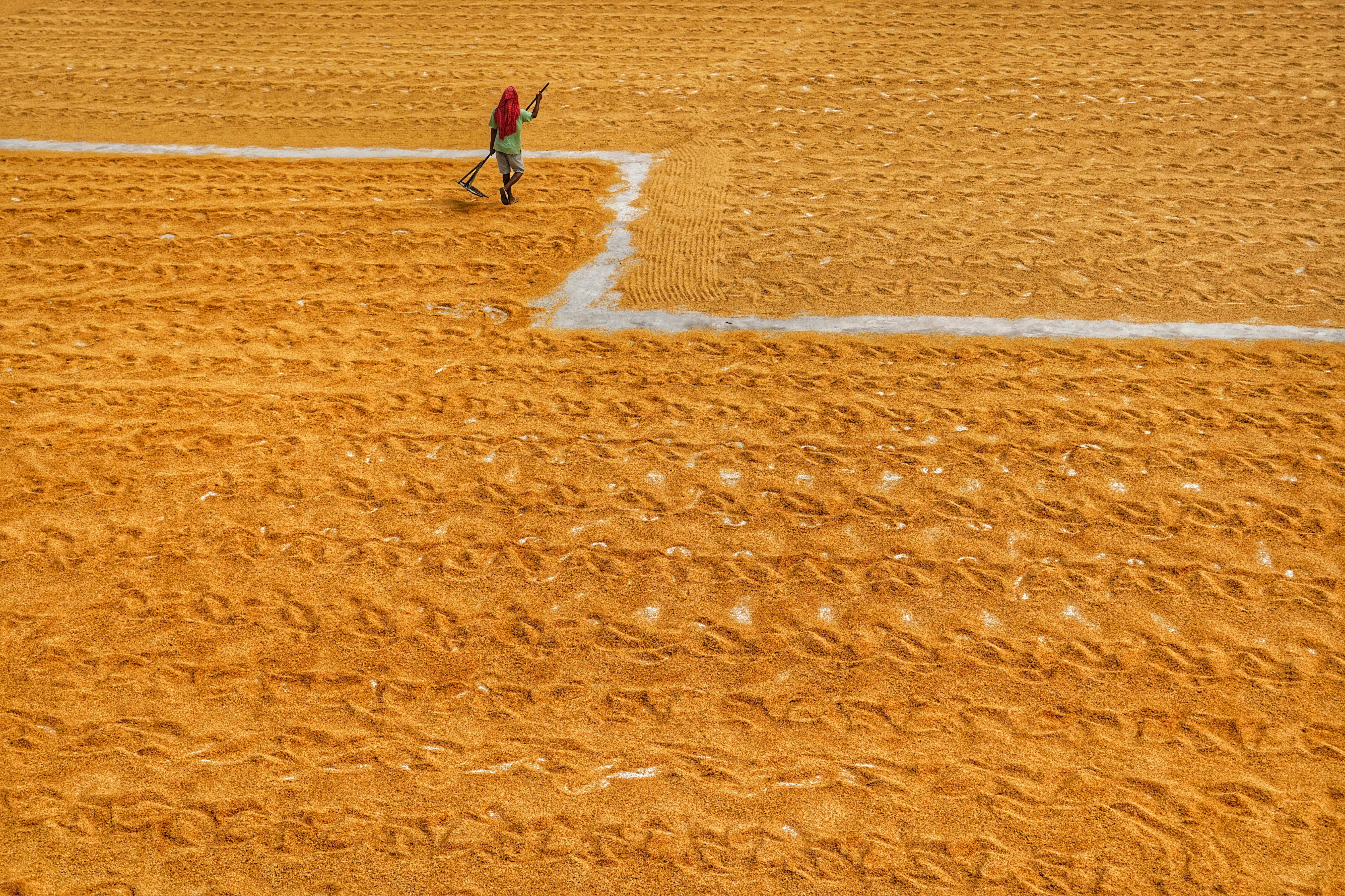 Photo by dibakar16roy