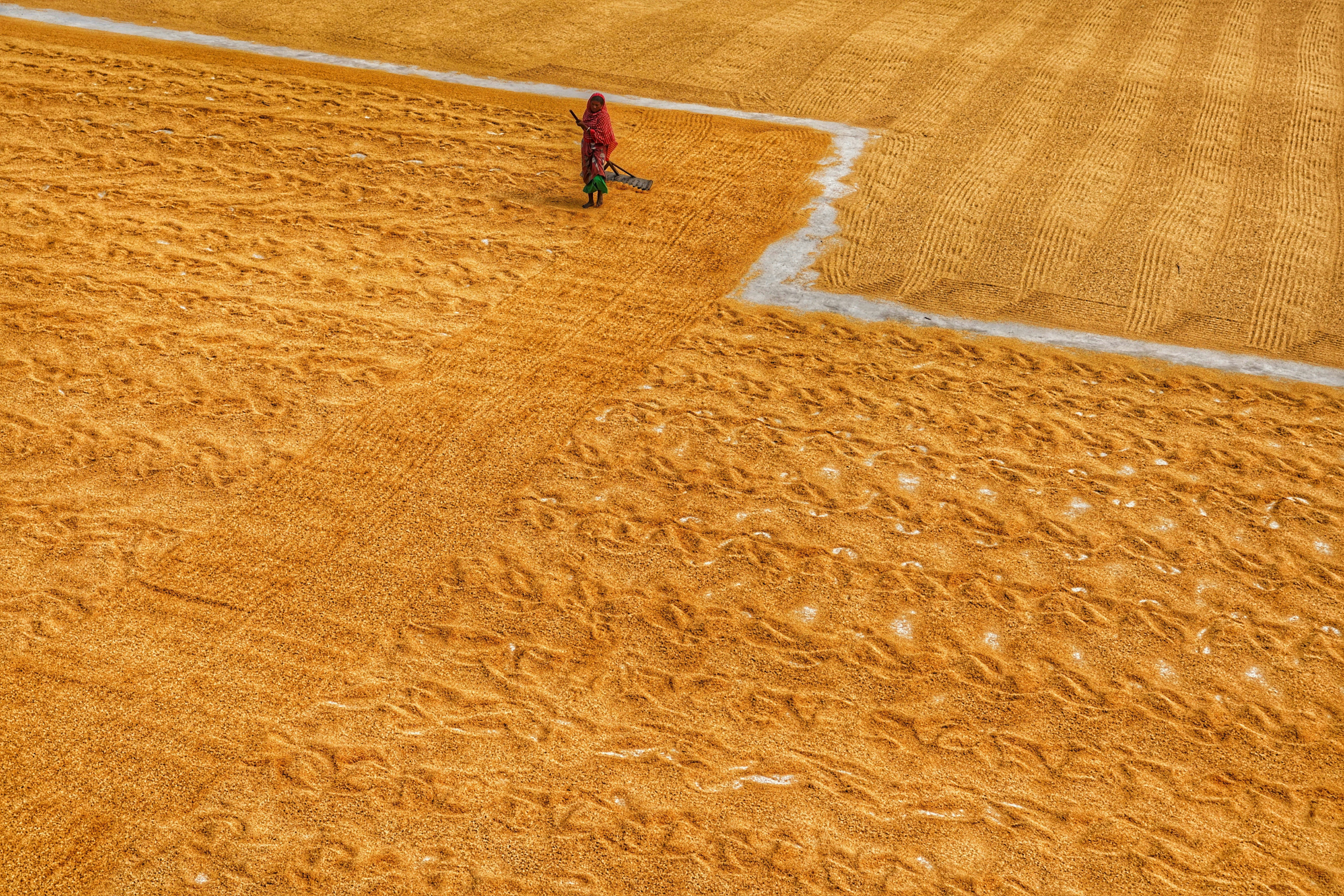 Photo by dibakar16roy