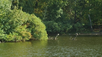 Volunteers measuring water quality in a rural community surrounded by lush greenery.