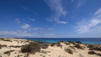a view of the ocean from a sandy beach