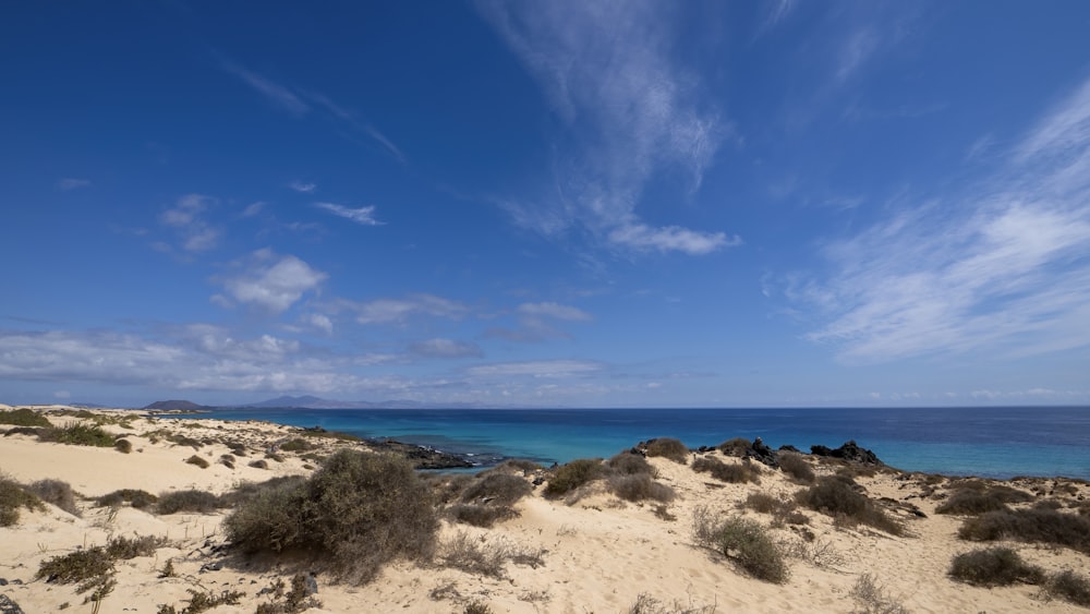 a view of the ocean from a sandy beach