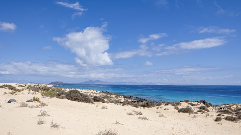 a sandy beach with blue water in the background
