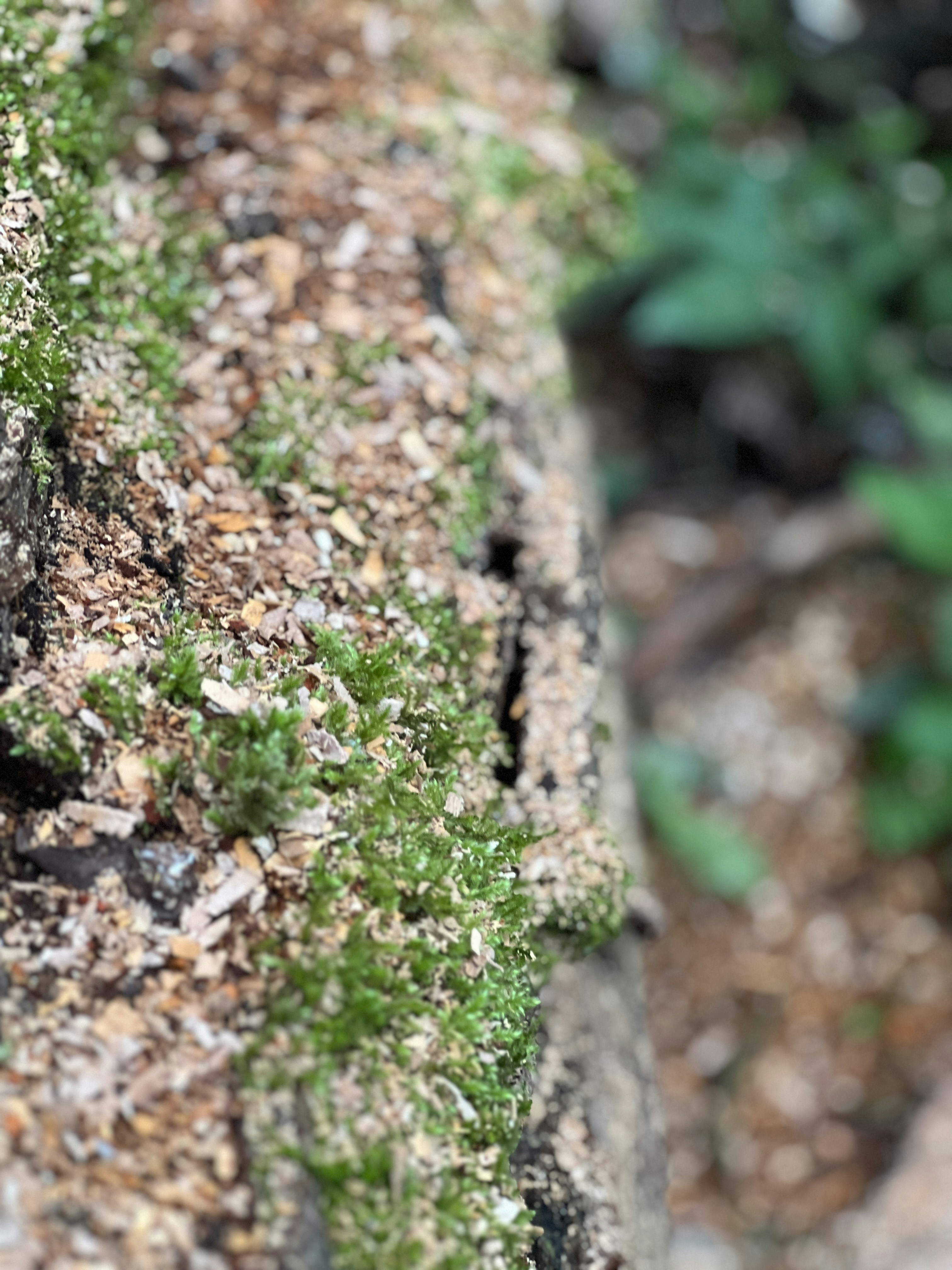 Photo by soheil_slt92