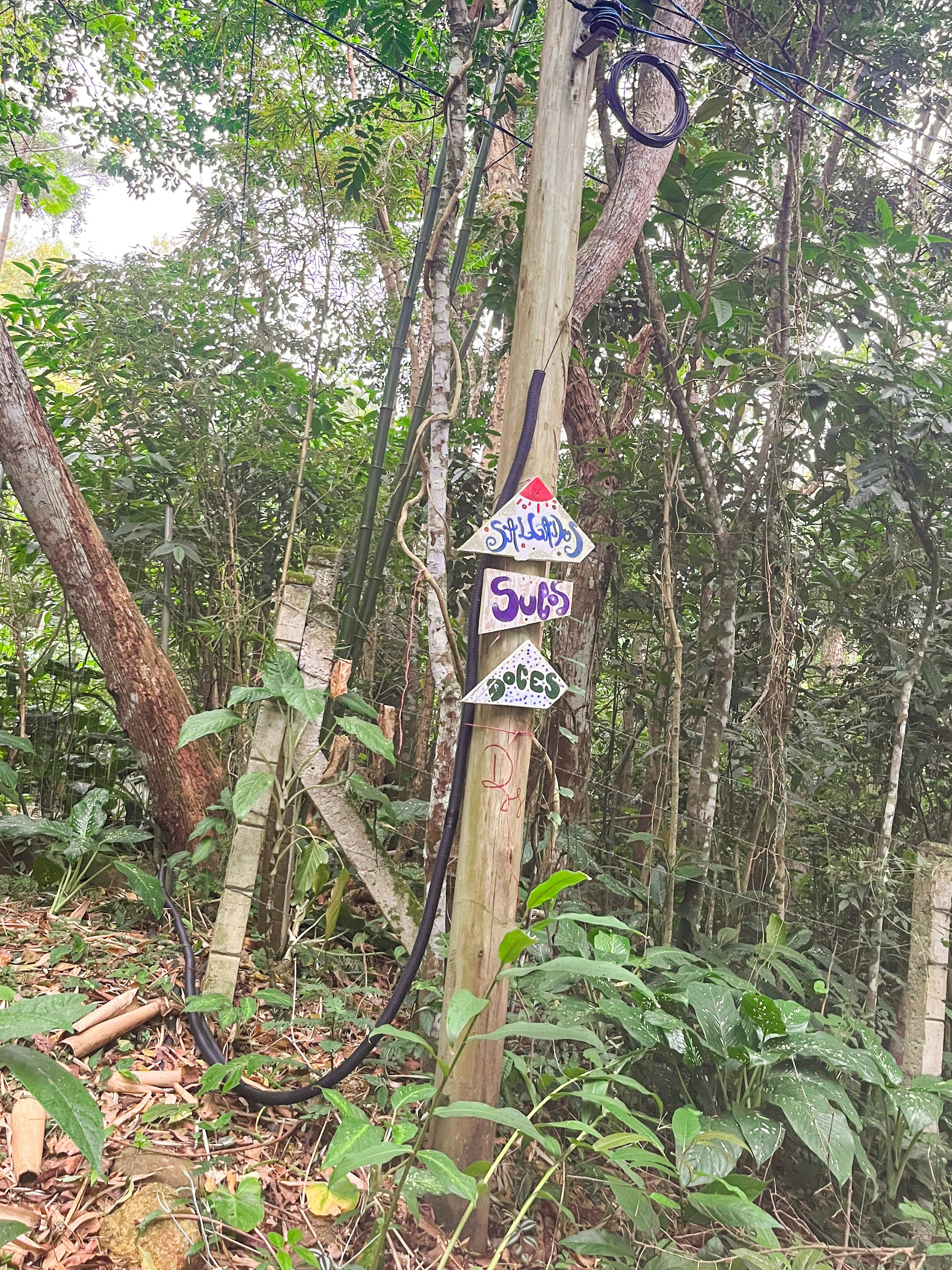 Photo by anacecilia03