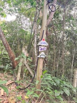 A wooden utility pole is situated in a forested area surrounded by dense vegetation and various plants. The pole has three decorative signs attached to it, with one of them containing the word 'DOCES'. Electrical or telecommunication wires are coiled near the top of the pole.
