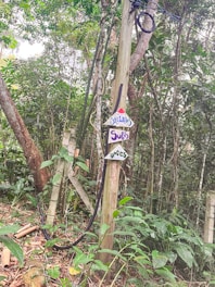 A wooden utility pole is situated in a forested area surrounded by dense vegetation and various plants. The pole has three decorative signs attached to it, with one of them containing the word 'DOCES'. Electrical or telecommunication wires are coiled near the top of the pole.