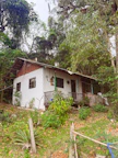 Exterior view of the rural house surrounded by lush green forest