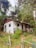 A small rustic house surrounded by lush greenery and dense forest. The house has a white exterior with a wooden roof and a small porch. Various plants and trees are scattered around the house, enhancing the natural and serene environment.