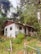 A small rustic house surrounded by lush greenery and dense forest. The house has a white exterior with a wooden roof and a small porch. Various plants and trees are scattered around the house, enhancing the natural and serene environment.