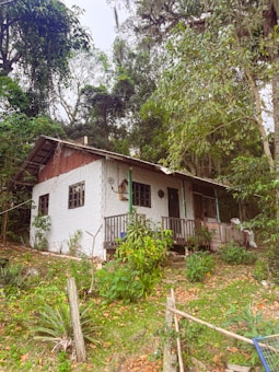 A small rustic house surrounded by lush greenery and dense forest. The house has a white exterior with a wooden roof and a small porch. Various plants and trees are scattered around the house, enhancing the natural and serene environment.