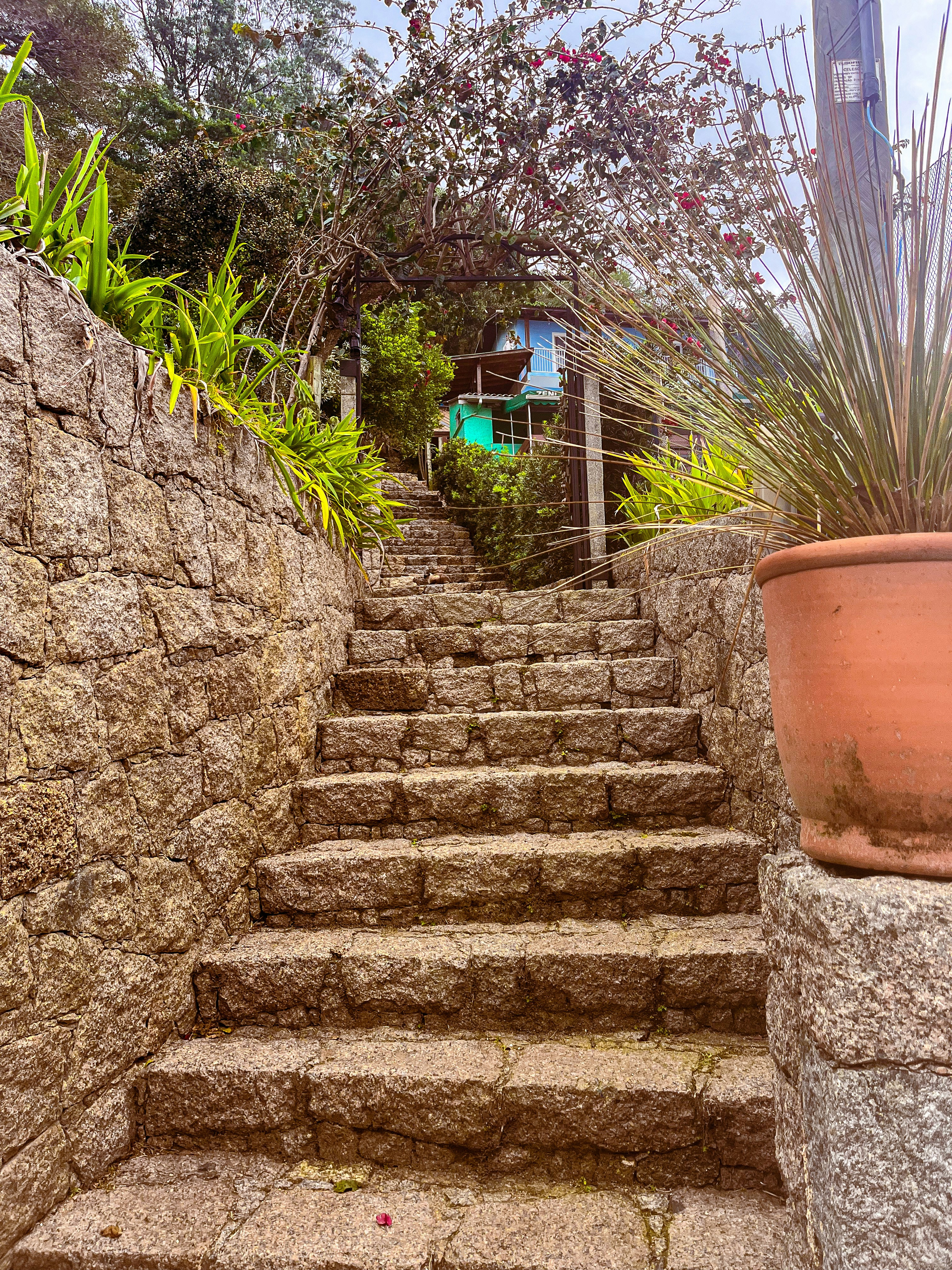 Photo by anacecilia03