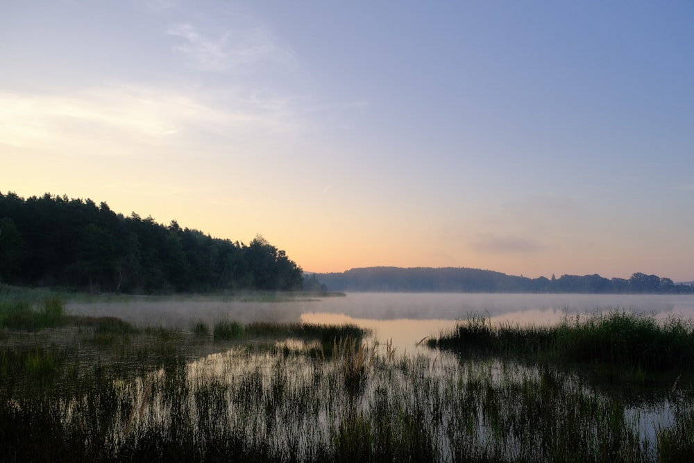 a body of water surrounded by grass and trees