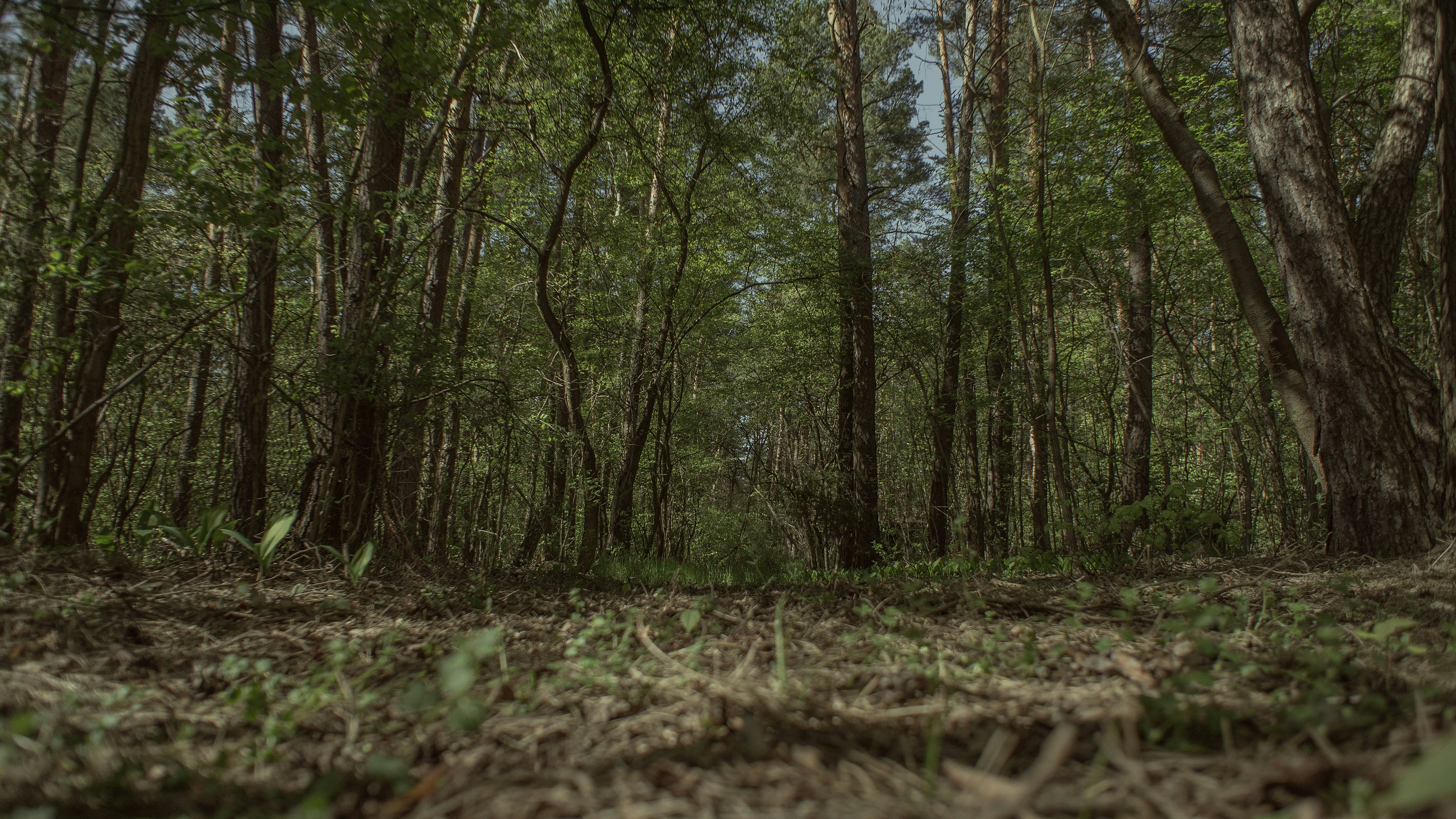 Photo by zdzieblowski