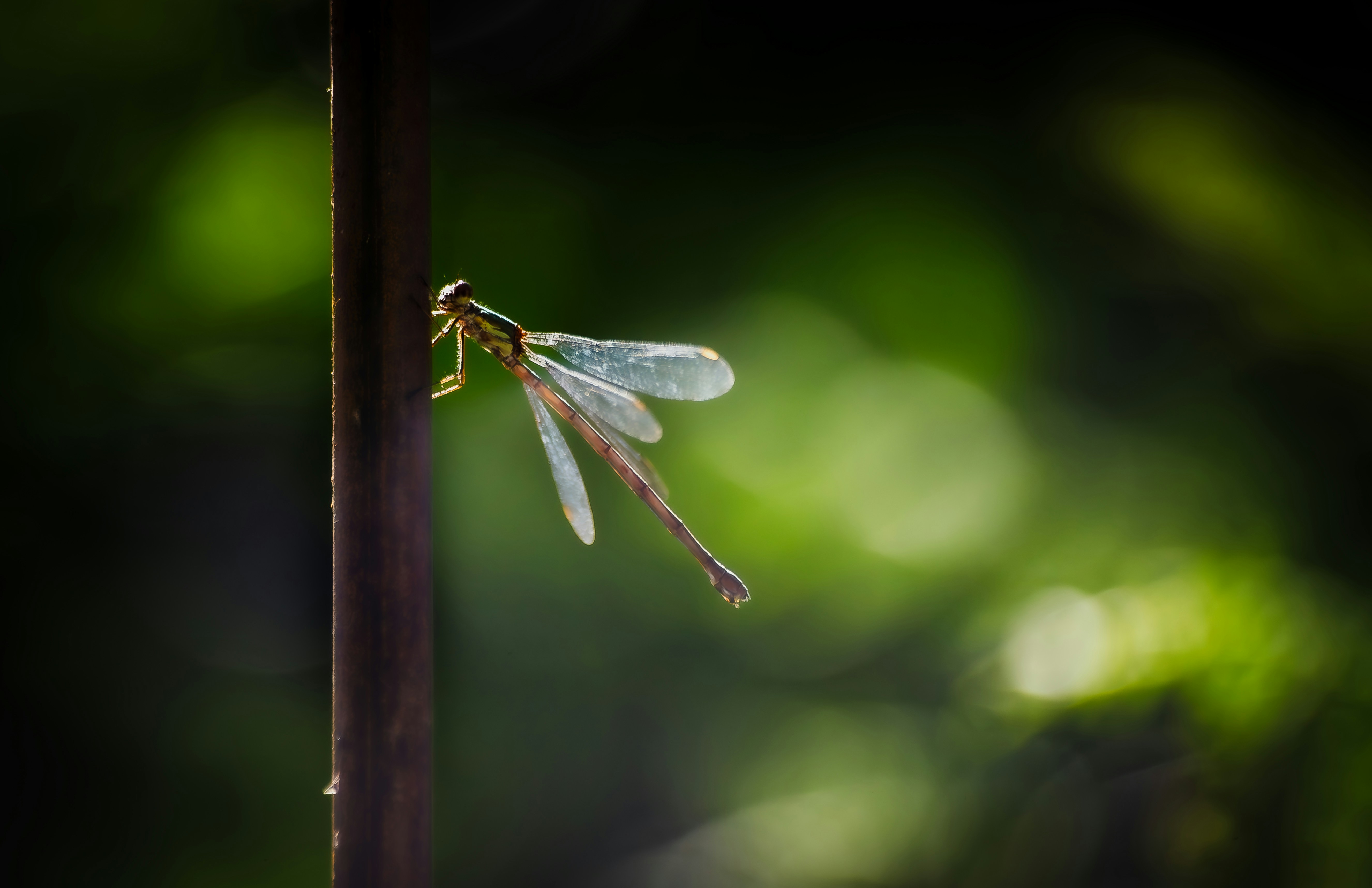 Photo by arizonanthony