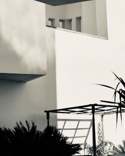 A minimalist architectural scene featuring stark geometric lines and shadows. The image is mostly monochromatic with strong contrasts, showing parts of a building structure with sharp angles and a pergola casting a shadow. Plants are visible in the foreground, adding a natural element to the scene.