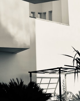 A minimalist architectural scene featuring stark geometric lines and shadows. The image is mostly monochromatic with strong contrasts, showing parts of a building structure with sharp angles and a pergola casting a shadow. Plants are visible in the foreground, adding a natural element to the scene.