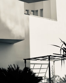 A minimalist architectural scene featuring stark geometric lines and shadows. The image is mostly monochromatic with strong contrasts, showing parts of a building structure with sharp angles and a pergola casting a shadow. Plants are visible in the foreground, adding a natural element to the scene.
