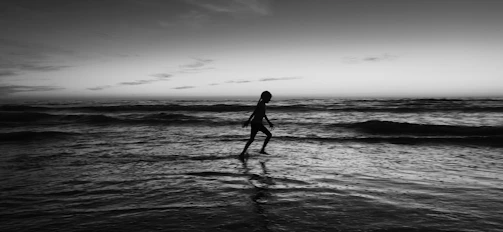A serene silhouette walking beside a glowing shadow under a twilight sky.