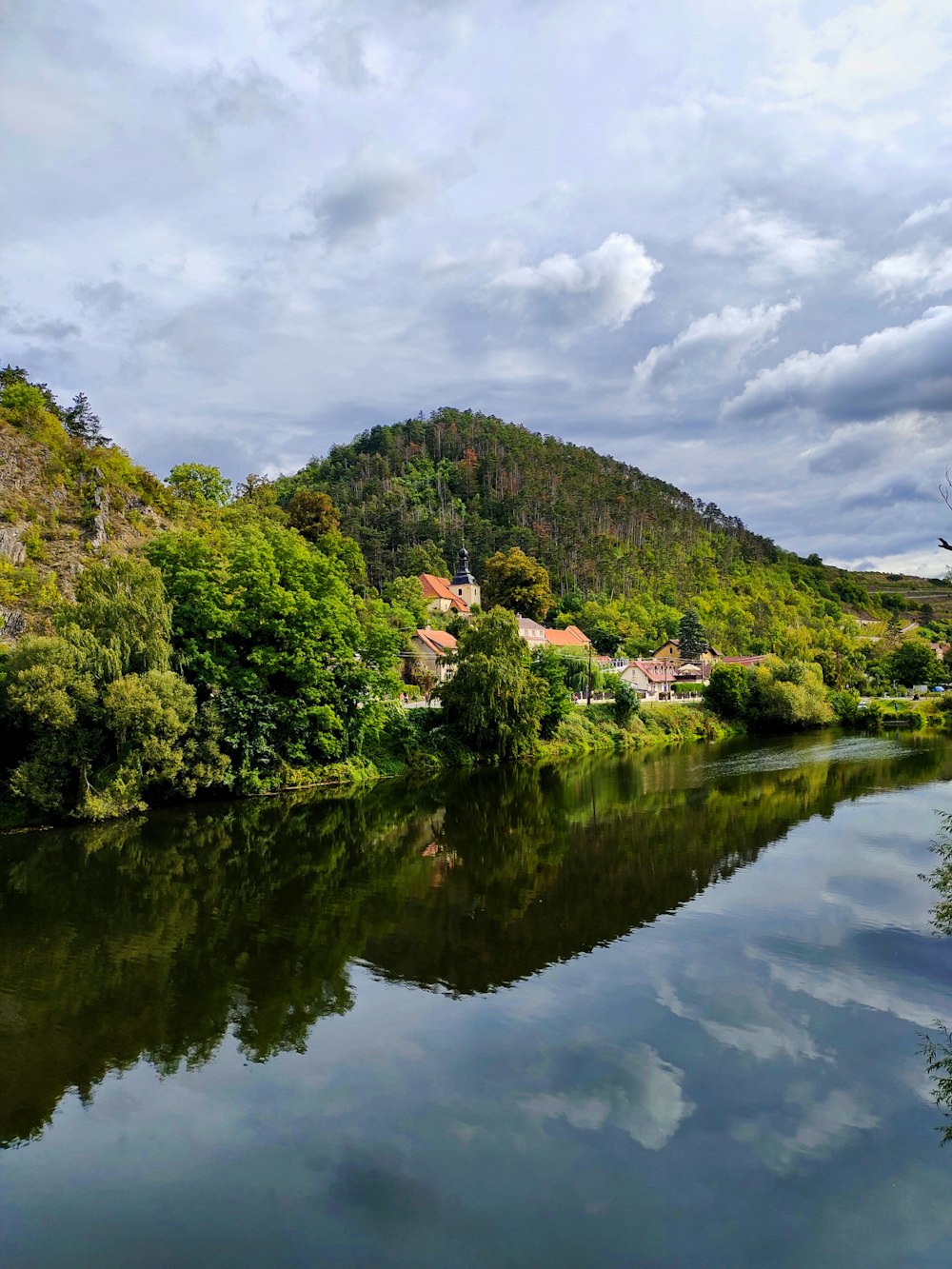 a river running through a lush green forest