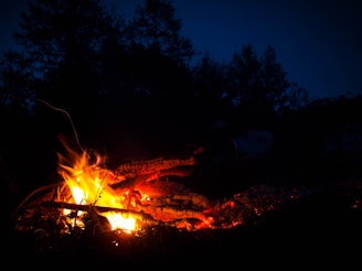 A flickering campfire glowing against a dark night sky, symbolizing warmth and reflection.