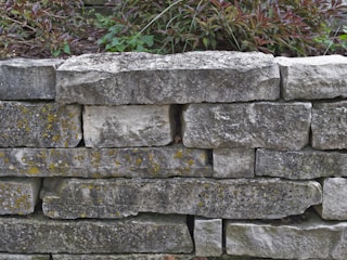 A wall constructed from large, irregularly shaped gray stones with some yellow lichen growth. Above the stone wall, there is foliage including green and reddish-brown leaves. The stones appear weathered and unevenly placed, giving a natural and rustic look.