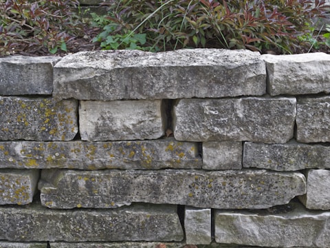 A wall constructed from large, irregularly shaped gray stones with some yellow lichen growth. Above the stone wall, there is foliage including green and reddish-brown leaves. The stones appear weathered and unevenly placed, giving a natural and rustic look.