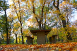 Families enjoying a picnic in a green park surrounded by autumn trees.