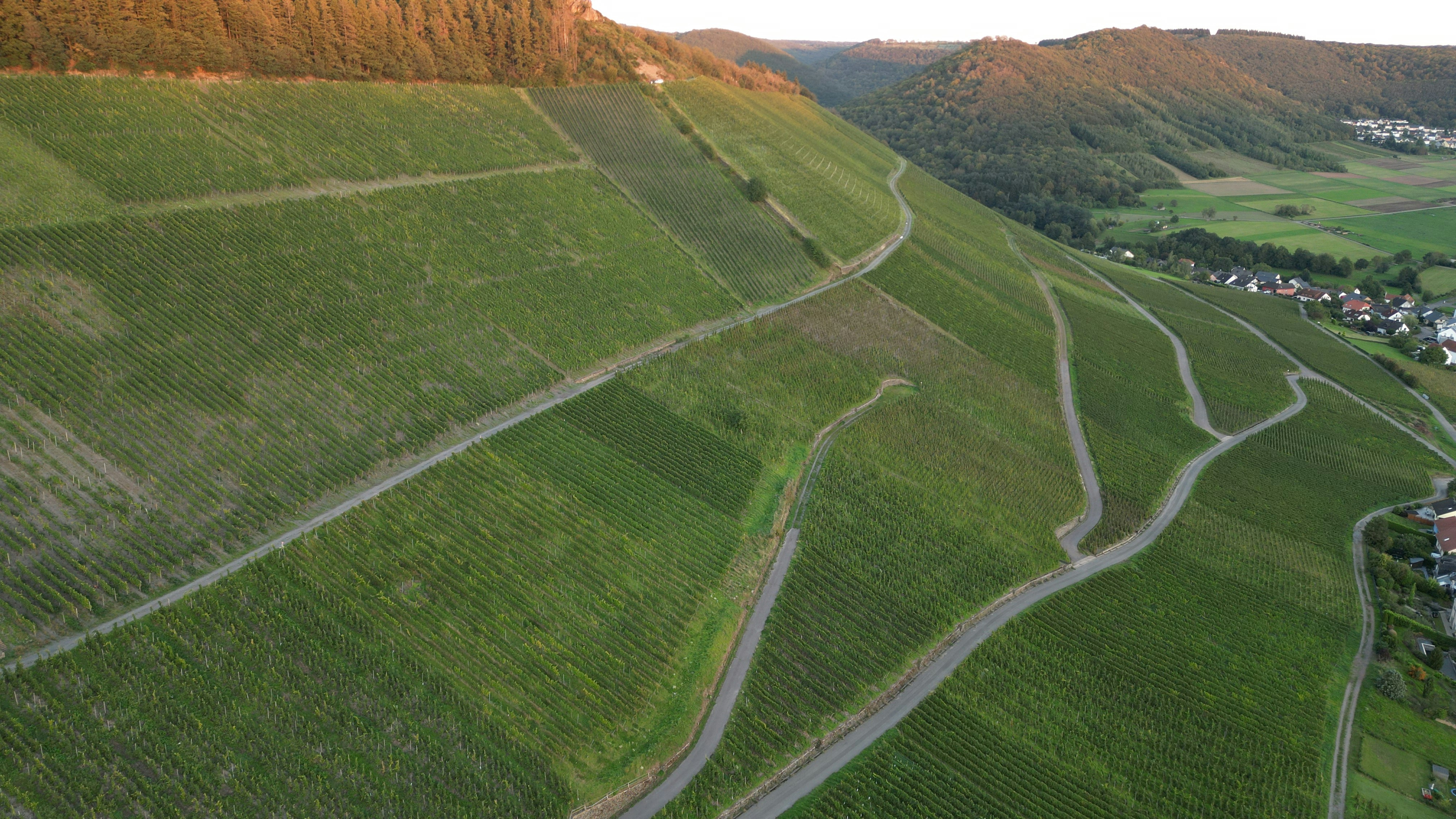 Luftaufnahme einer Straße, die sich durch ein üppig grünes Feld schlängelt