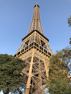 the eiffel tower towering over the city of paris