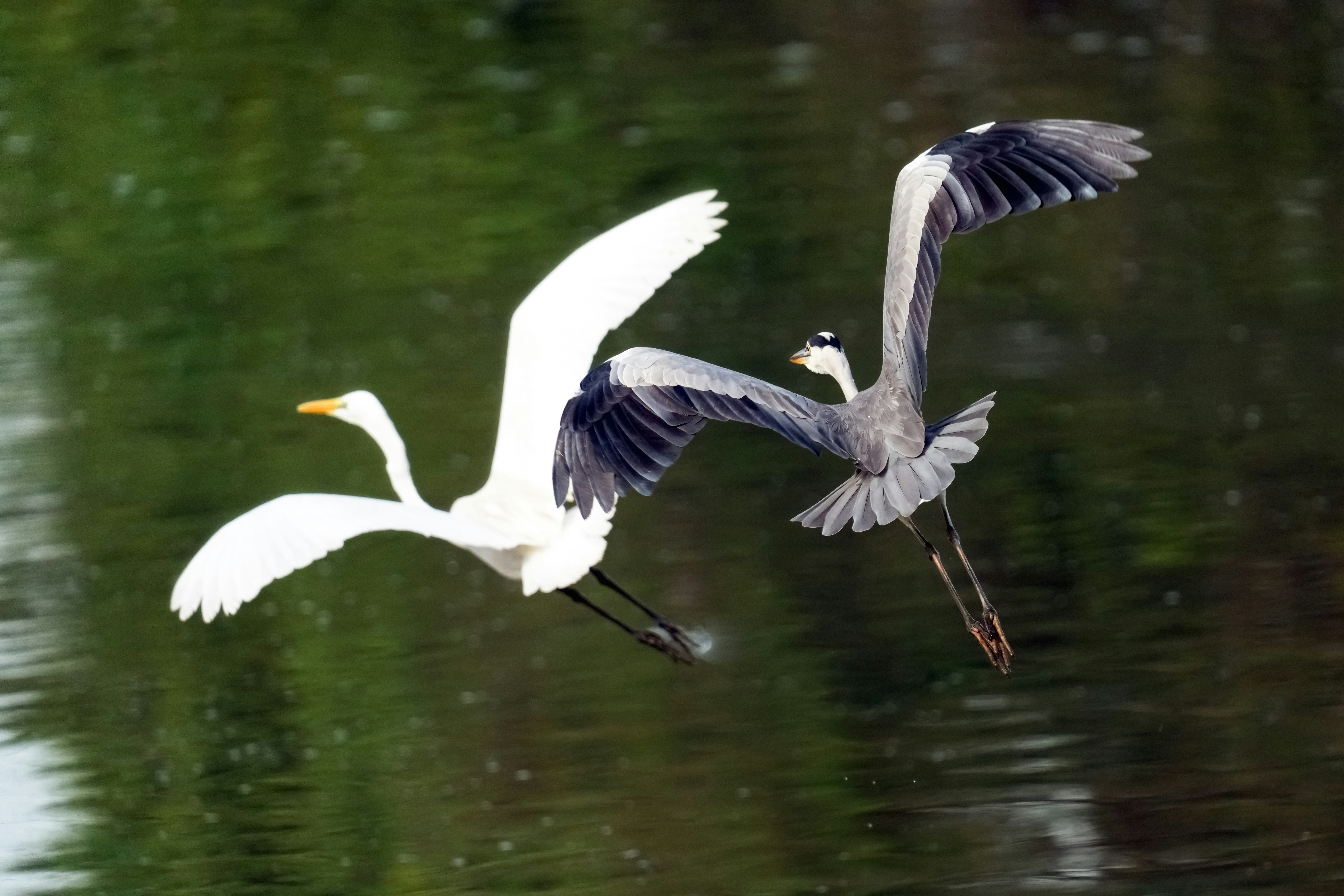 Photo by kim_dae_jeung