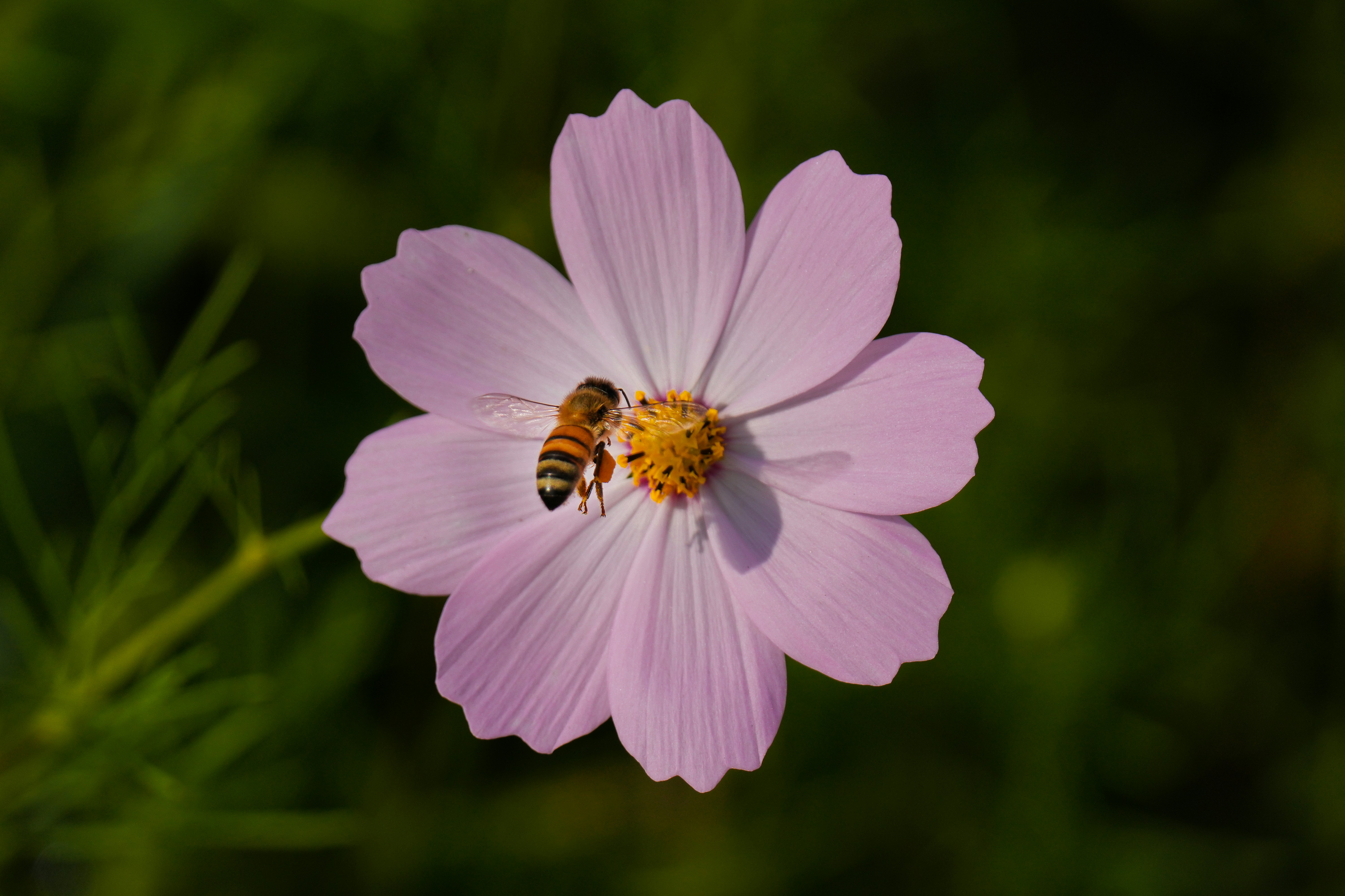 Photo by kim_dae_jeung