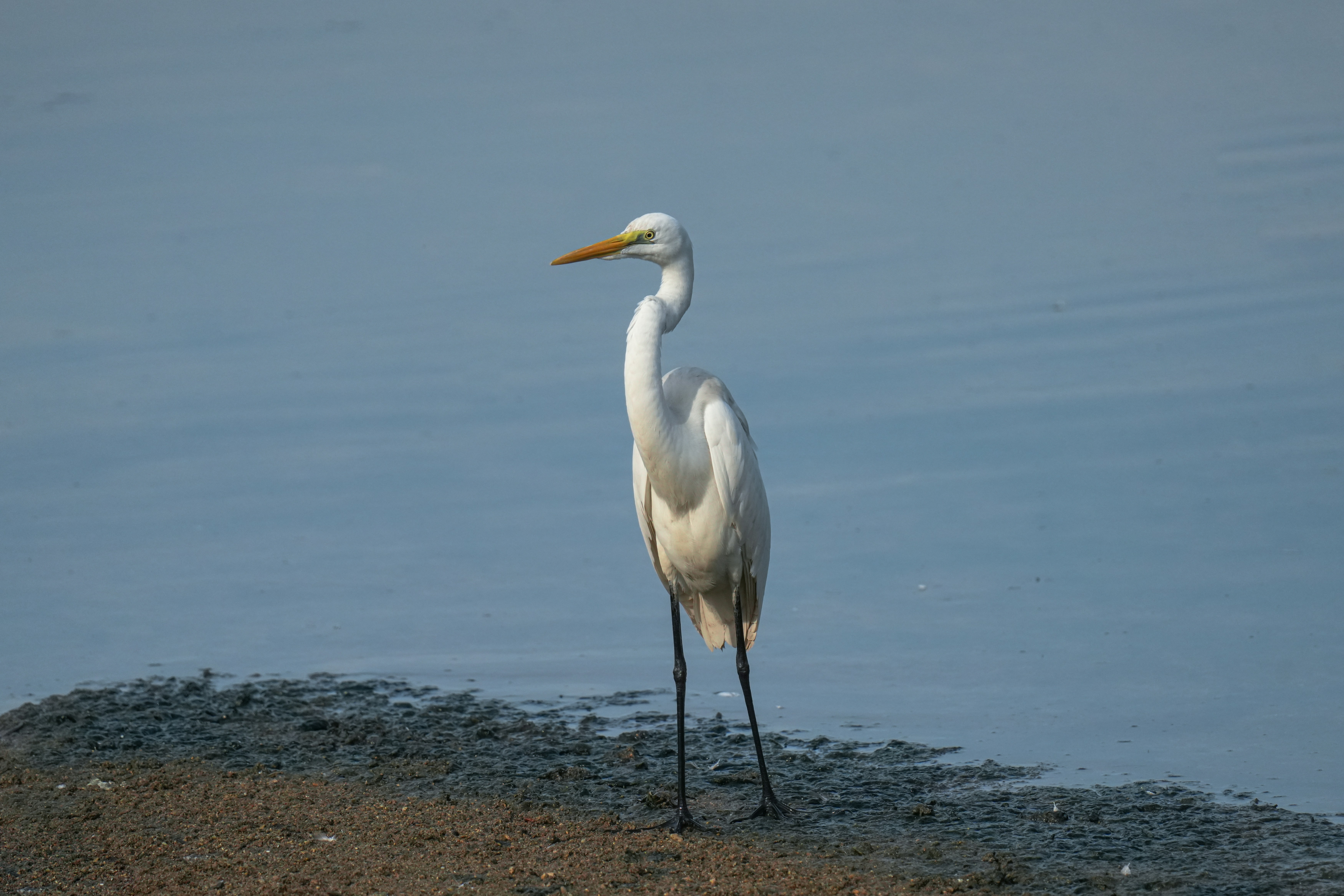 Photo by kim_dae_jeung