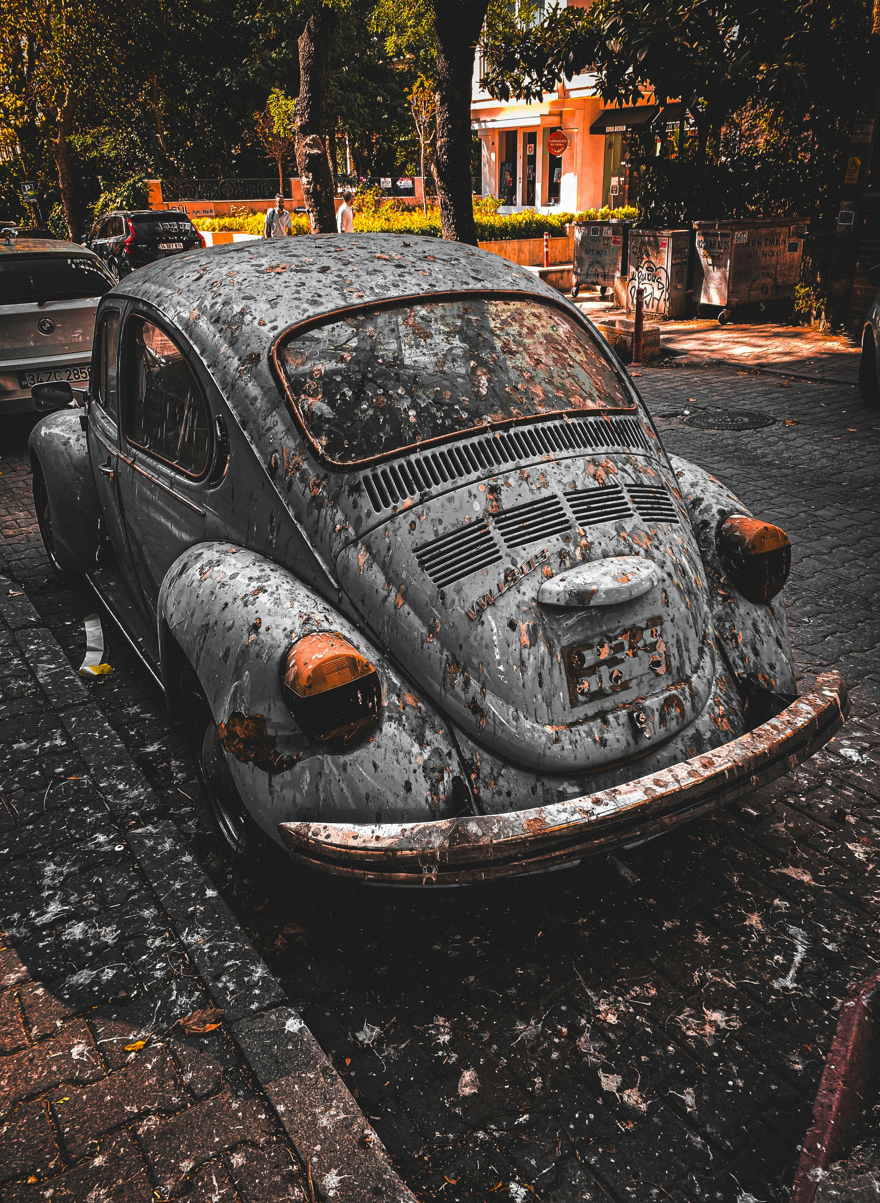 Photo by gokyuzuyeralti