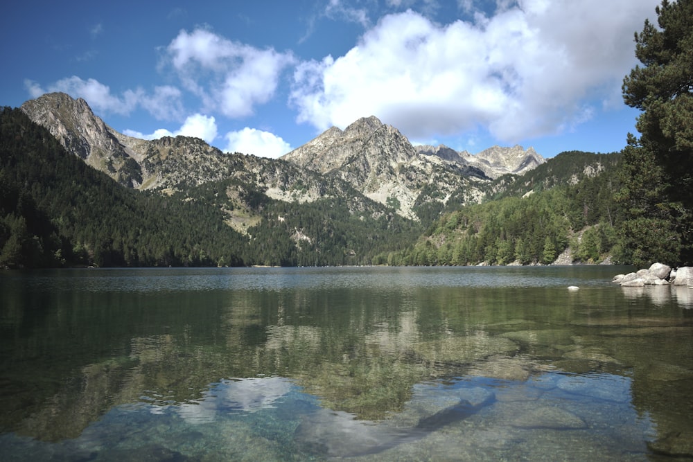 a body of water surrounded by mountains and trees