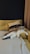 A content cat lounging on a cozy couch with a pet sitter nearby.