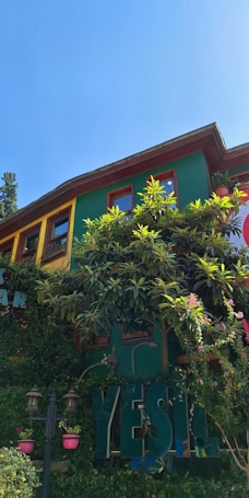 A vibrant, colorful building with green, yellow, and red hues, partially covered with lush green foliage and flowering plants. The word 'YESIL' is prominently featured in large letters surrounded by natural greenery. Small planters and flowers add to the decorative aesthetic, while a clear blue sky forms the backdrop.