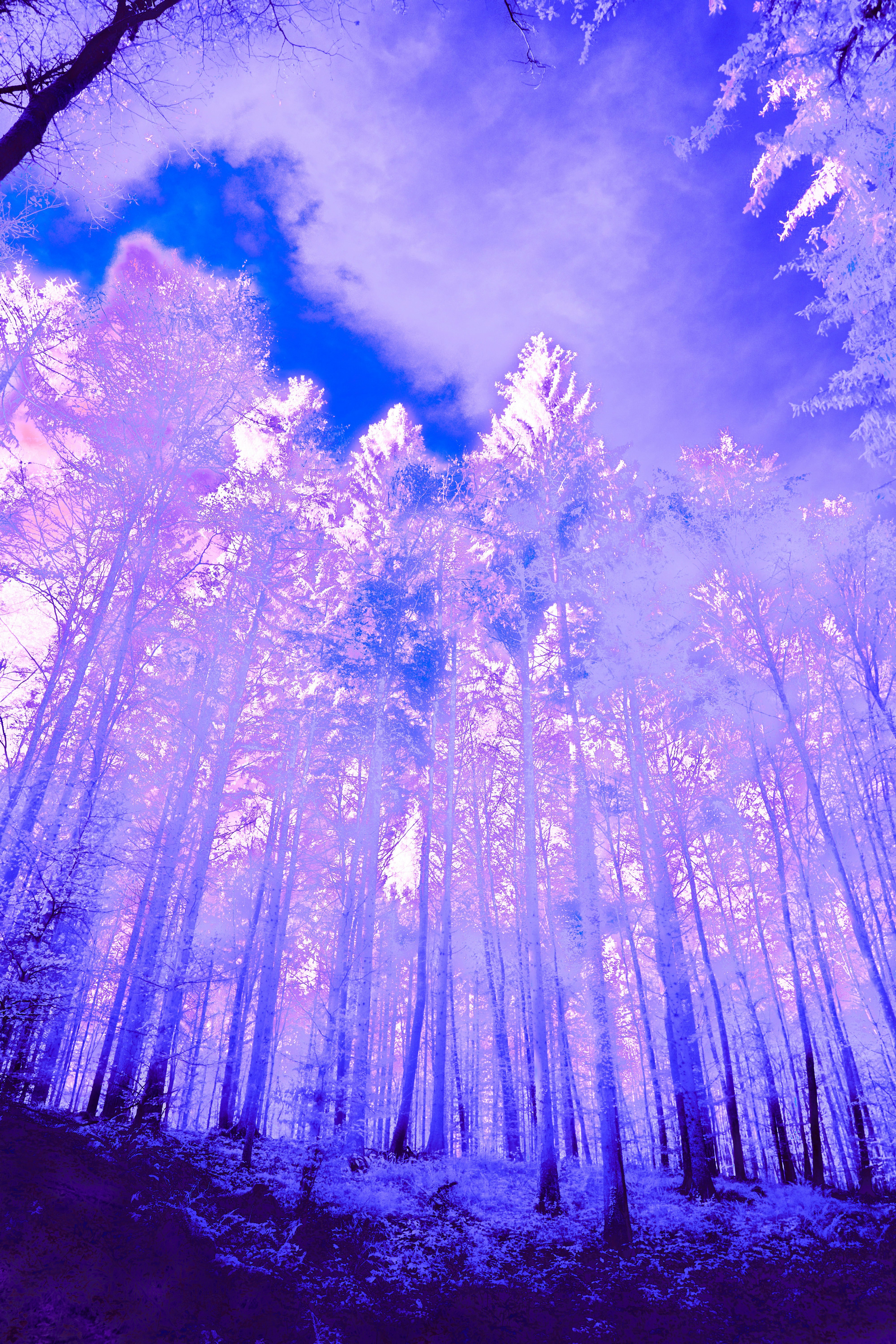 Photo by wolfgang_hasselmann