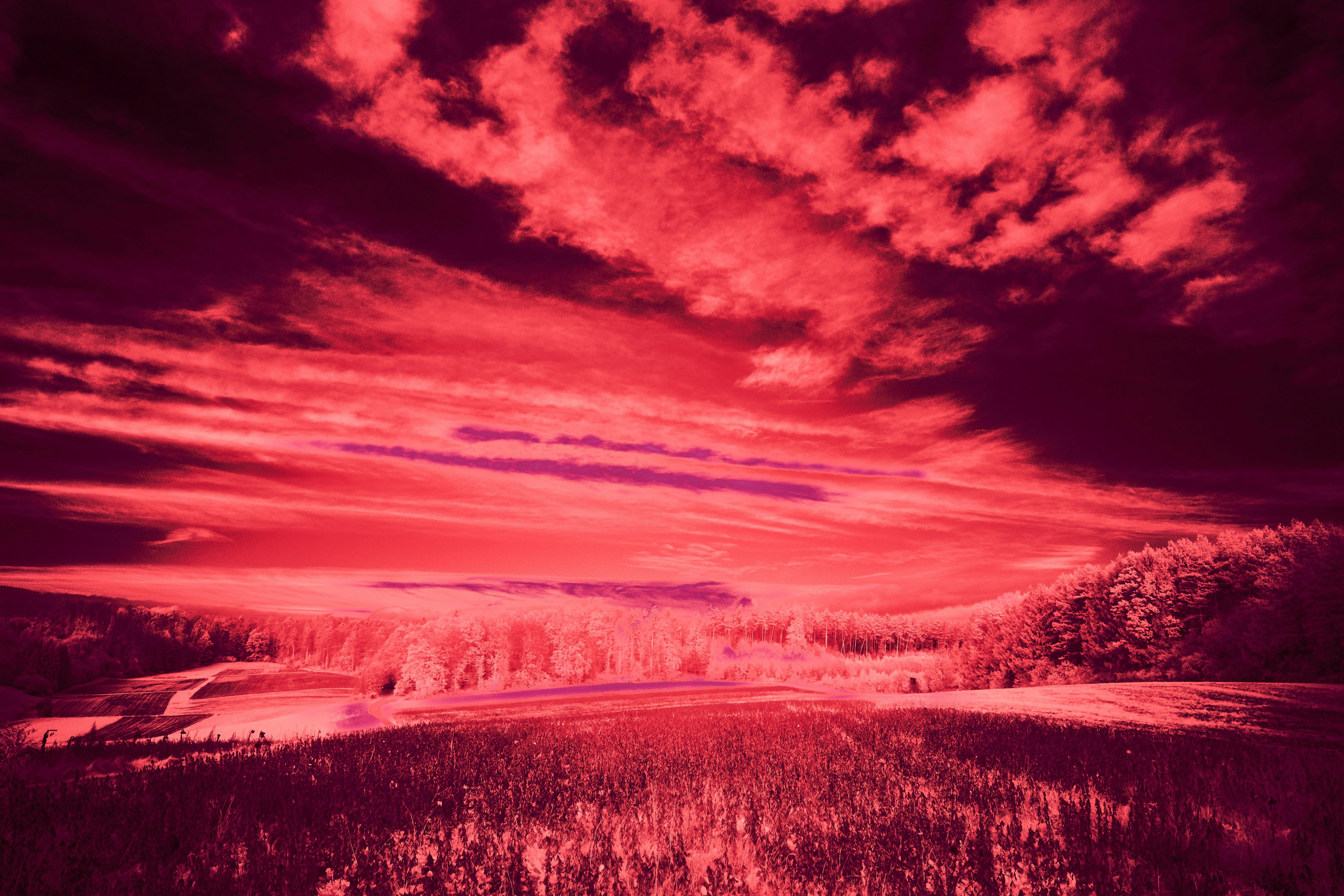 Photo by wolfgang_hasselmann