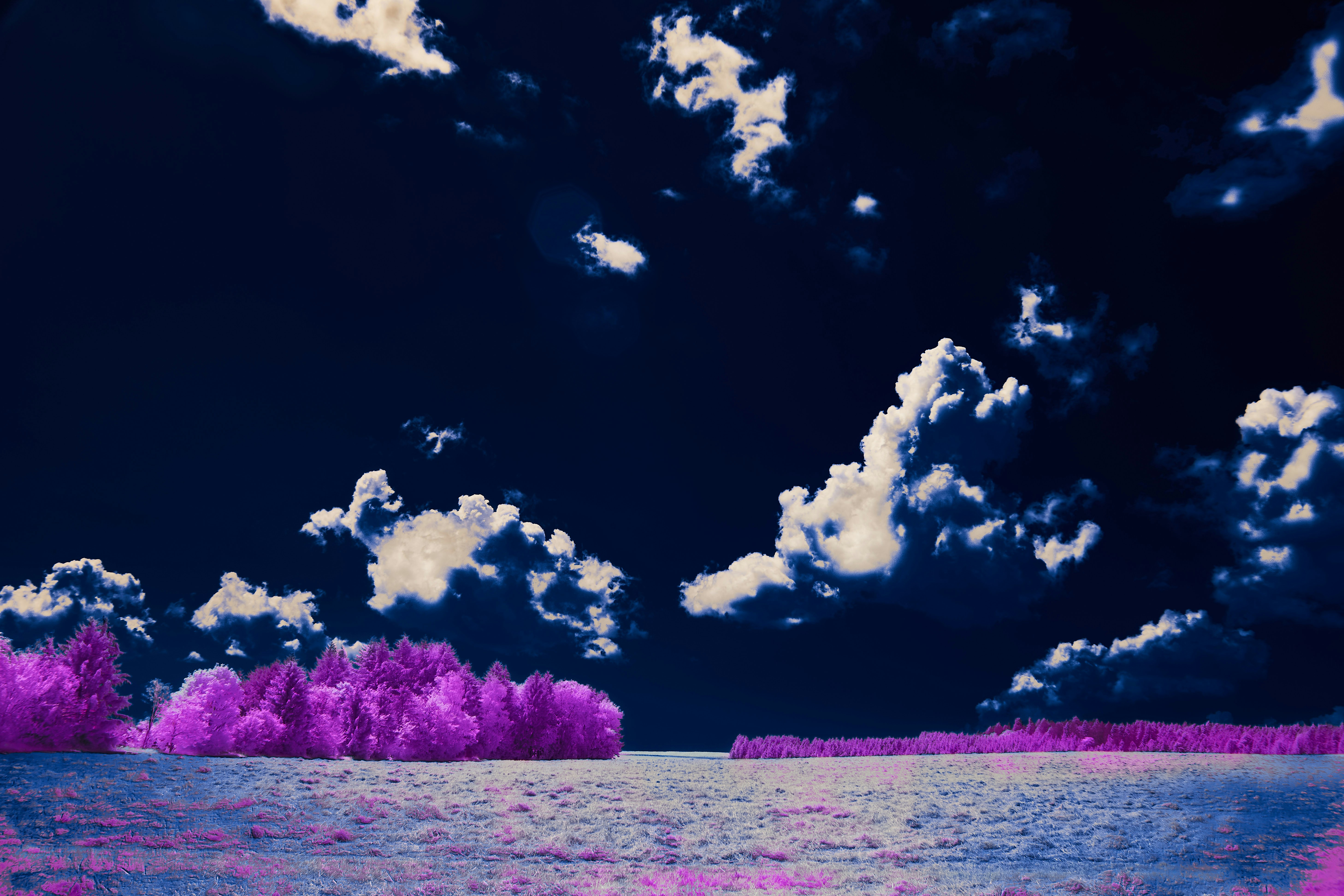 Photo by wolfgang_hasselmann