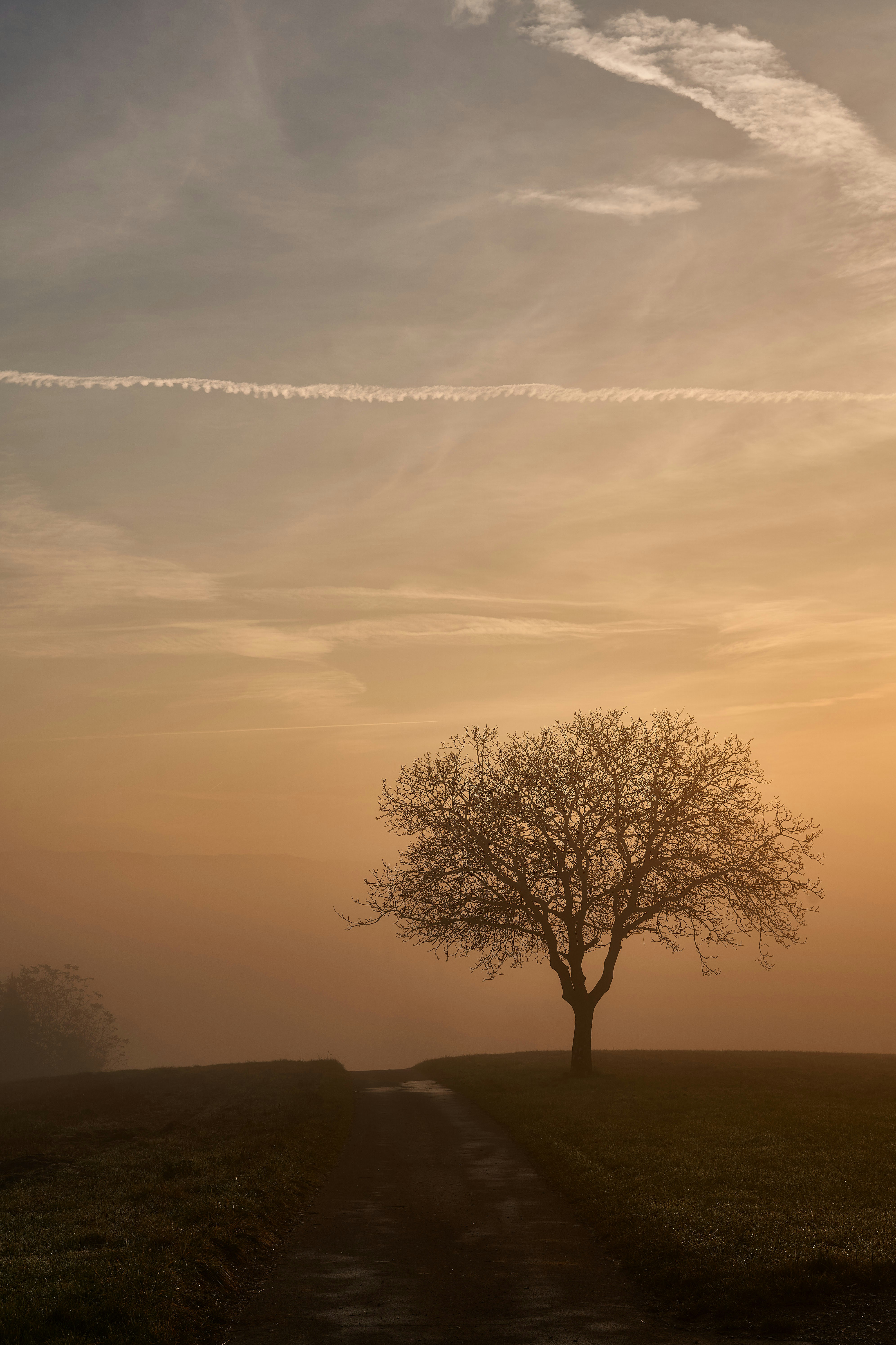 Photo by wolfgang_hasselmann