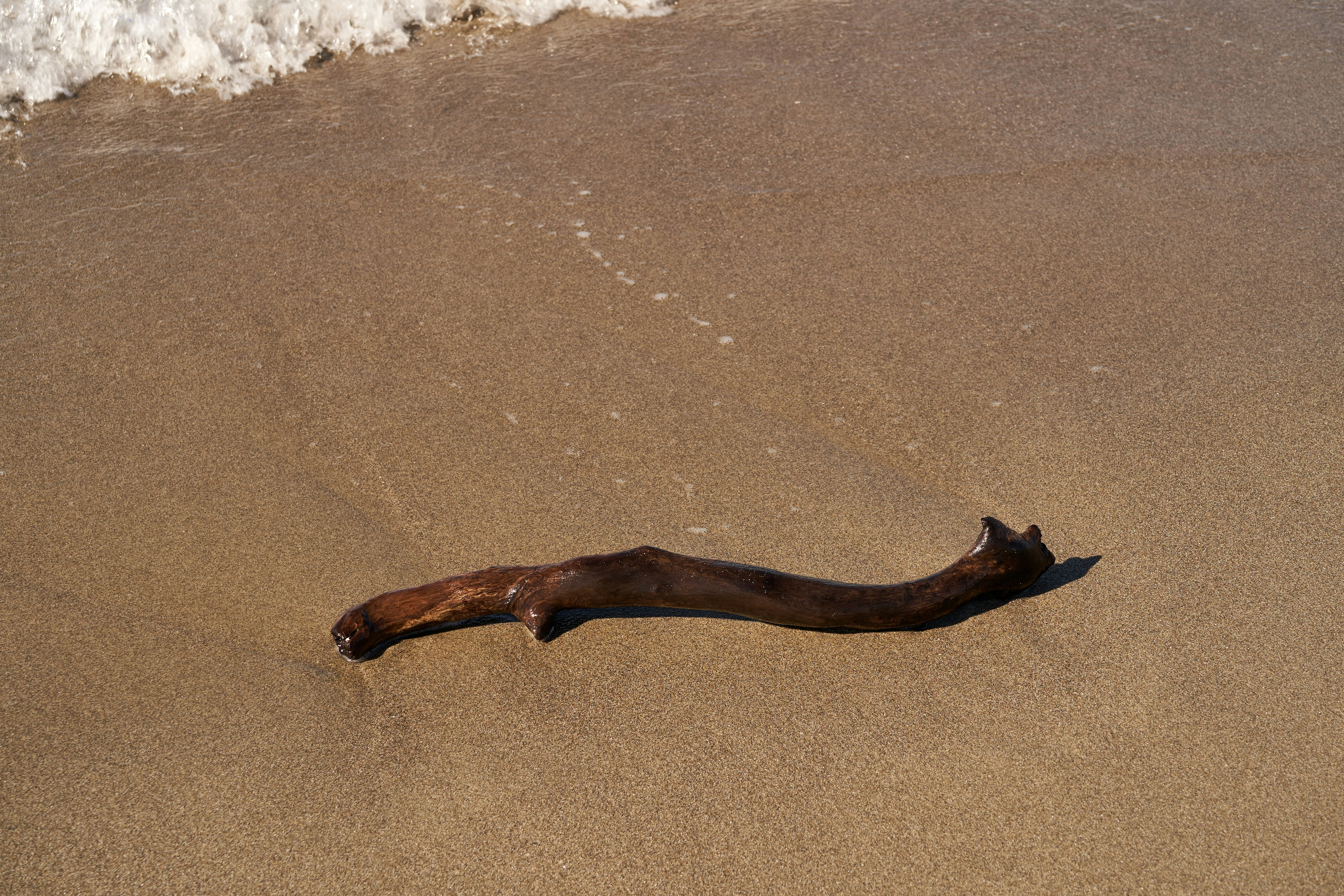 Photo by wolfgang_hasselmann