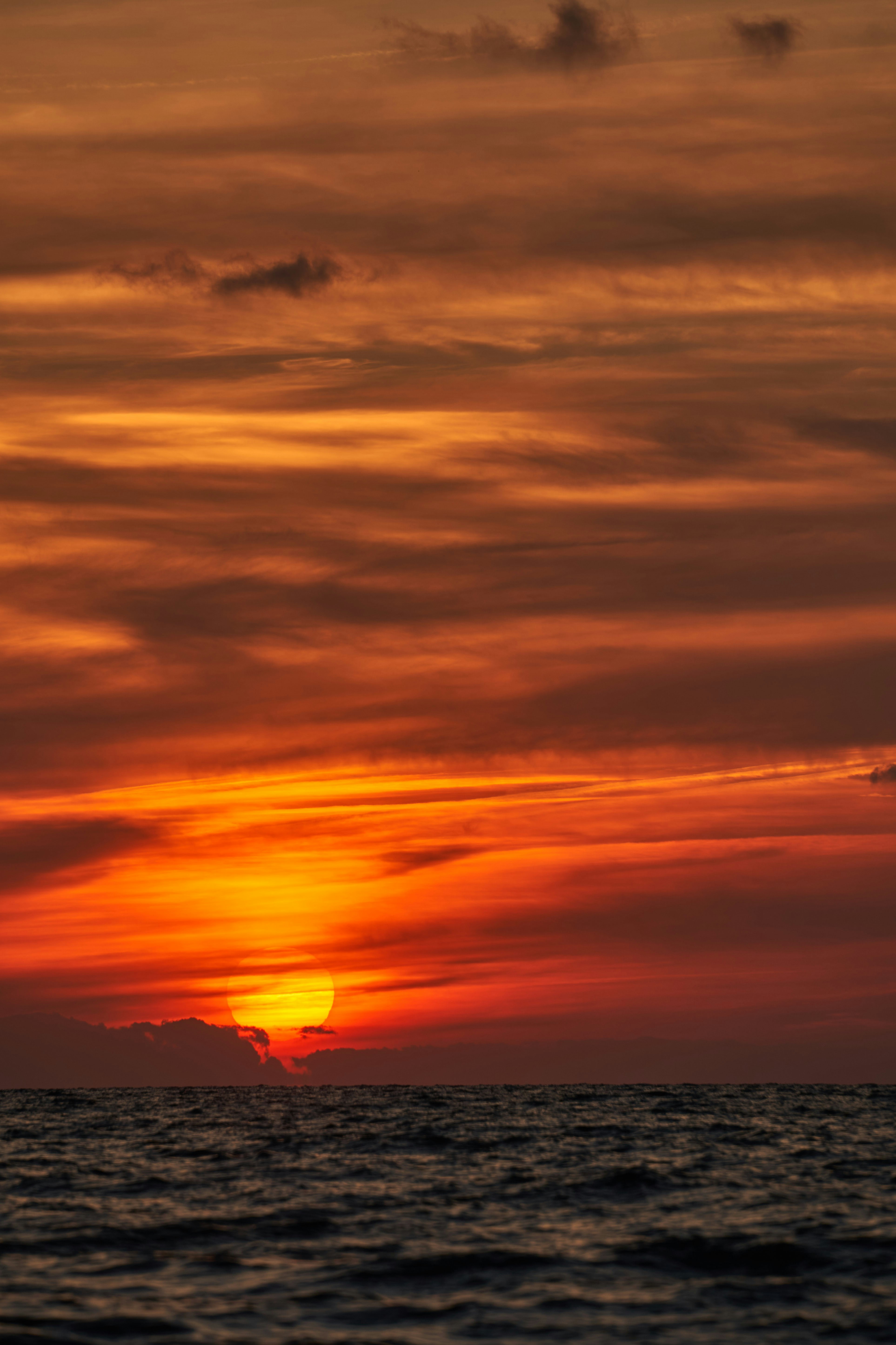 Photo by wolfgang_hasselmann