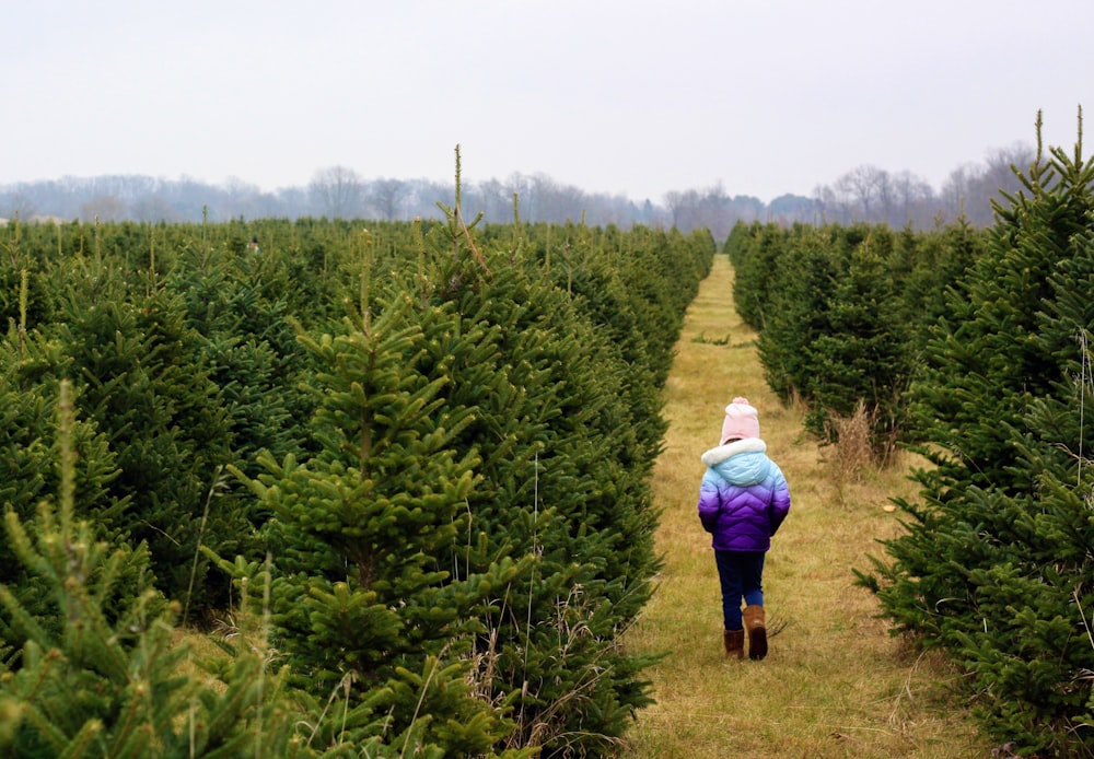 a person walking through a field of trees