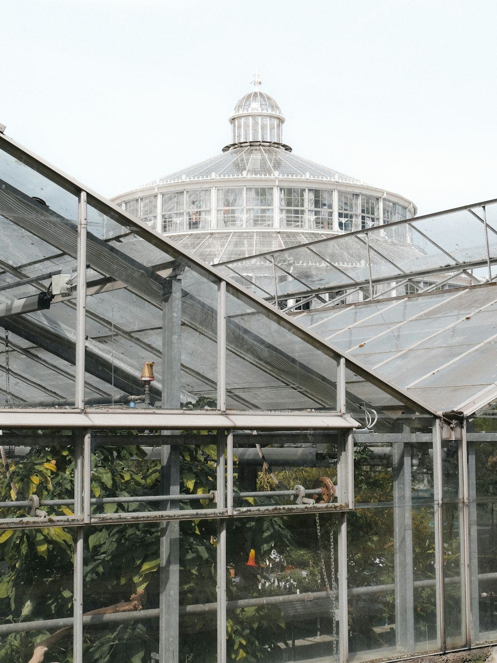 a glass house with a clock on the side of it